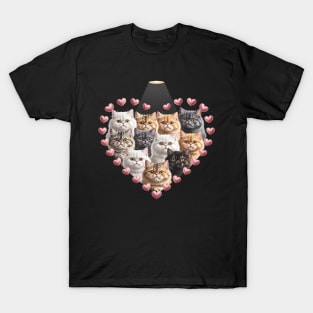 Valentine's Day British Longhair cat Heart T-Shirt